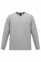 POLO RALPH LAUREN MAGLIA A MANICHE LUNGHE MINIMAL GRIGIA UOMO PRE OWNED L