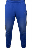 PUMA Φόρμα Παντελόνι Track Pants Casual Λογότυπο Μπλε Ανδρικό L