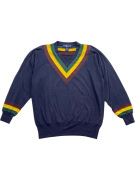 RALPH LAUREN V-NECK SWEATSHIRT VINTAGE STRIPES NAVY BLUE MEN'S L