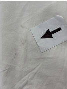 RALPH LAUREN CAMICIA CLASSIC CREMA UOMO PRE OWNED L