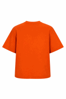 RUSSELL ATHLETIC GRAPHIC TEE STREETWEAR ORANGE ΑΝΤΡΙΚΟ PRE OWNED 2XL/2XG