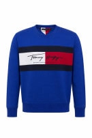 TOMMY HILFIGER ΦΟΥΤΕΡ ΜΠΛΟΥΖΑ GRAPHIC ΜΠΛΕ ΑΝΤΡΙΚΟ PRE OWNED L