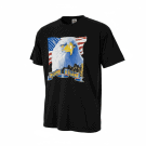 VINTAGE FREEDOM & GLORY AMERICAN EAGLE FLAG ALSTYLE T-SHIRT